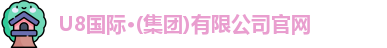 U8国际